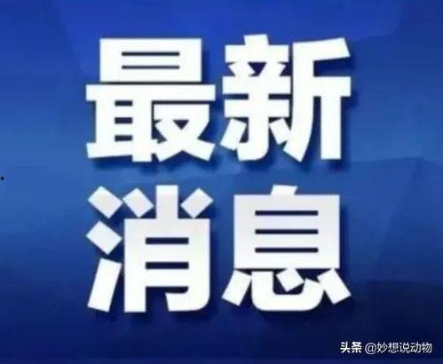 广西事件爆料最新消息今天,真相揭晓,多方势力介入调查