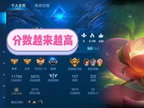 巅峰赛最新皮肤爆料视频,揭秘神秘爆料,视觉盛宴即将开启!